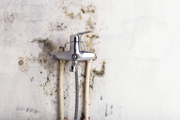 Best Professional Mold Removal  in Richfield, OH