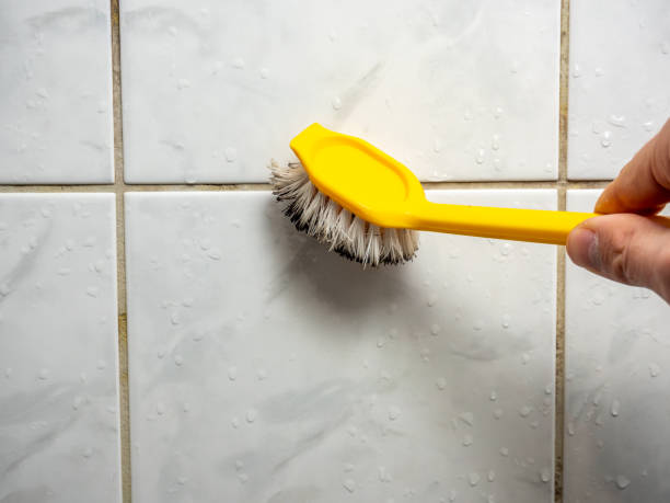 Best Mold Damage Repair  in Richfield, OH