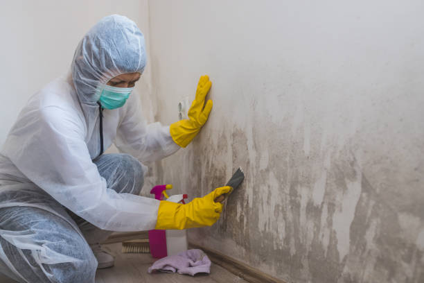 Attic Mold Removal in Richfield, OH