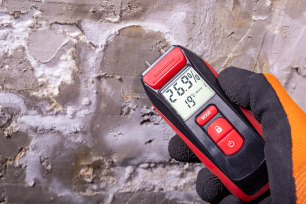 Mold Removal and Inspection in Richfield, OH