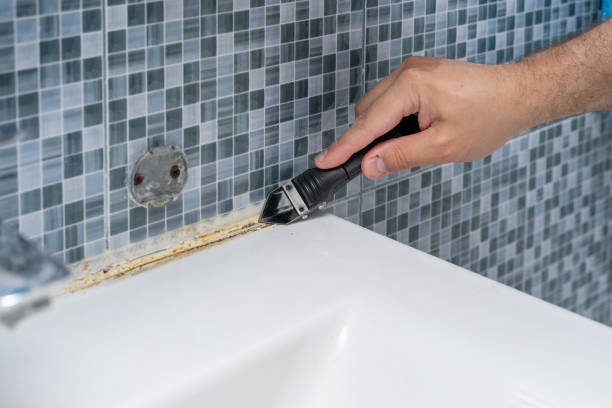 Best Mold Remediation  in Richfield, OH