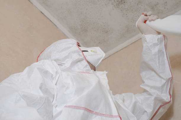 Best Home Mold Removal  in Richfield, OH
