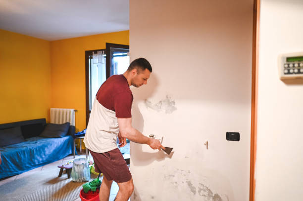 Best Local Mold Removal Service  in Richfield, OH